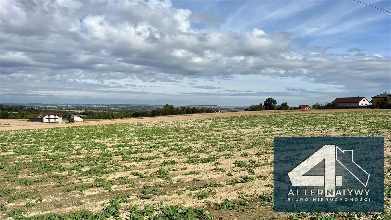 Działka budowlana na sprzedaż Sieciechowice, Banacha 1  1 550m2 Foto 3