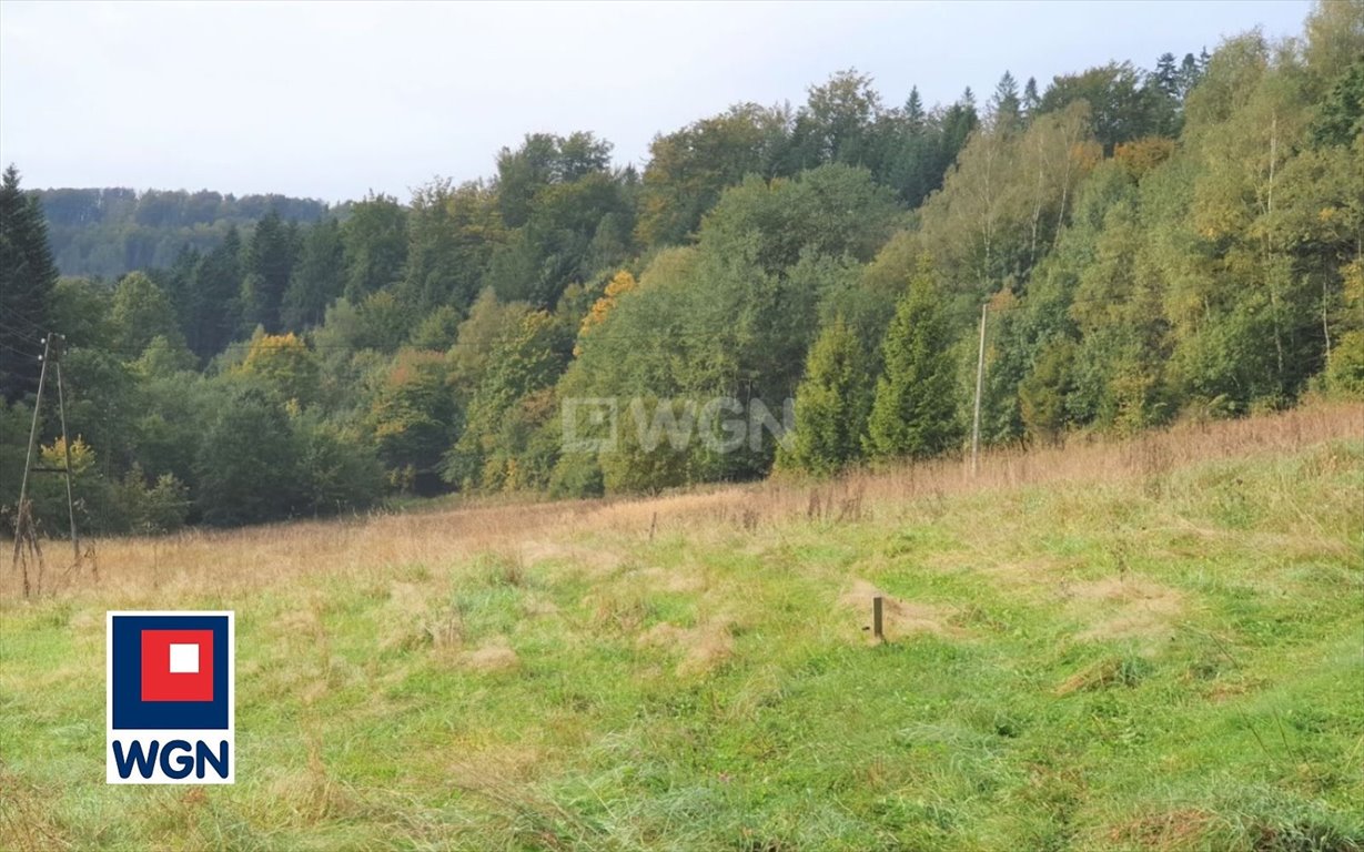 Działka rekreacyjna na sprzedaż Wisła, Jawornik  19 000m2 Foto 5