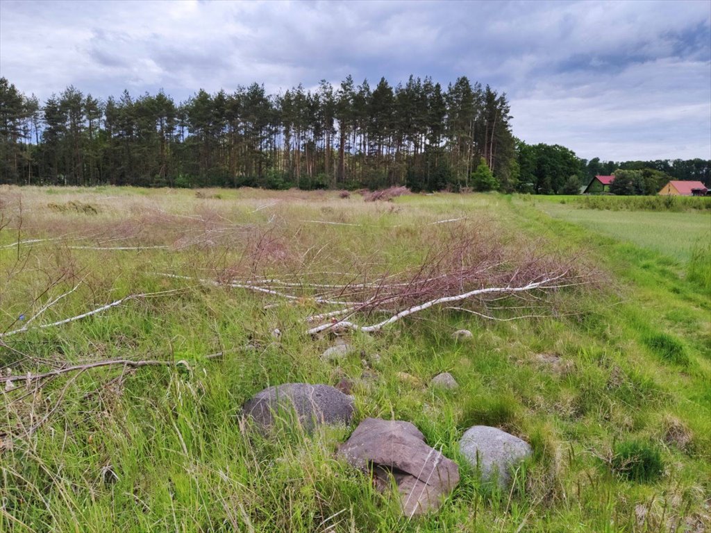 Działka budowlana na sprzedaż Kliszów, Kliszów  11 100m2 Foto 3