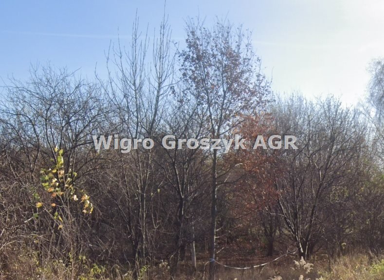 Działka pod zabudowę w Krupiej Wólce, 1000 m² Krupia Wólka  1 000m2 Foto 1
