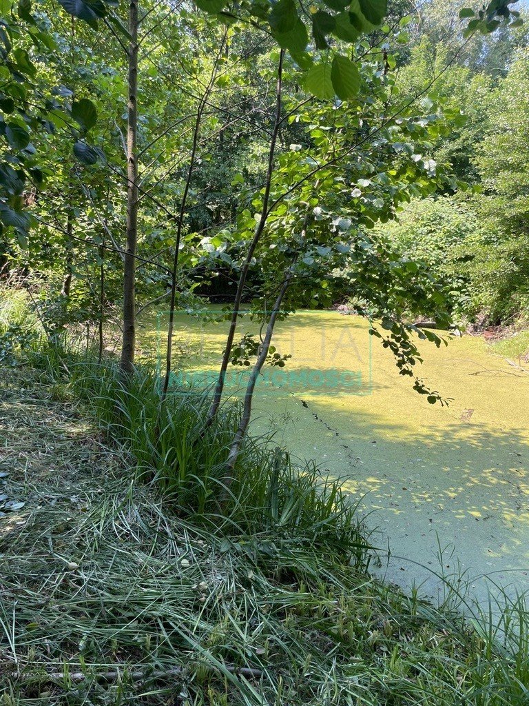 Działka budowlana na sprzedaż Mościska  8 500m2 Foto 10