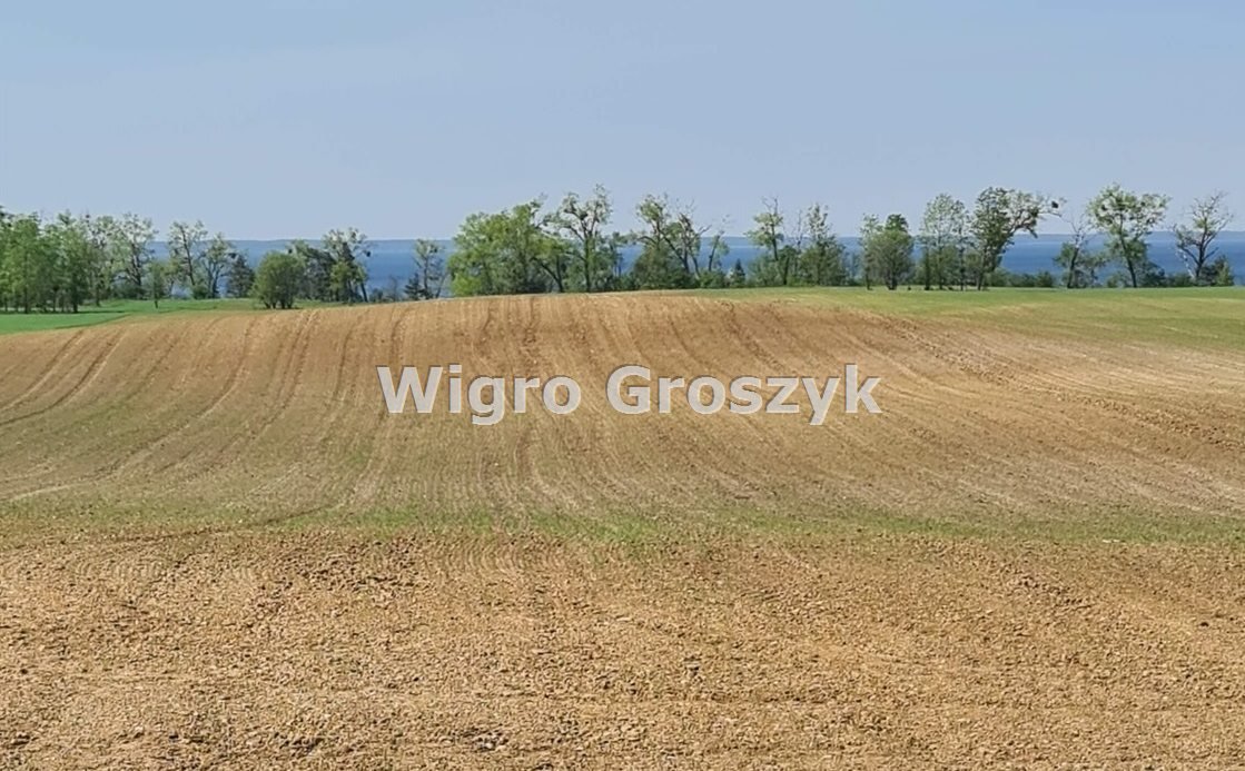 Działka rekreacyjna na sprzedaż Kwik, Kwik  10 409m2 Foto 10