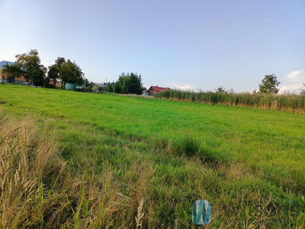 Działka budowlana na sprzedaż Ropica Polska  2 200m2 Foto 5