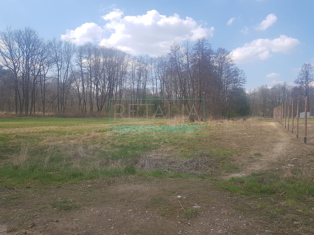 Działka budowlana na sprzedaż Książenice  12 000m2 Foto 5