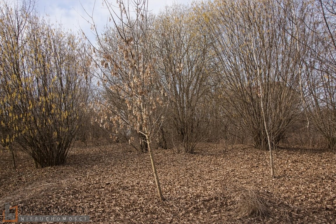Działka budowlana w Bibicach z mediami i dużym potencjałem Bibice  802m2 Foto 1