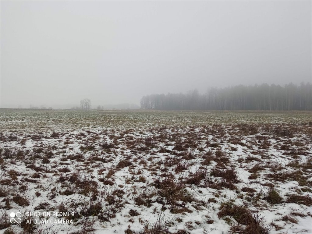 Działka budowlana na sprzedaż Halickie  5 440m2 Foto 3