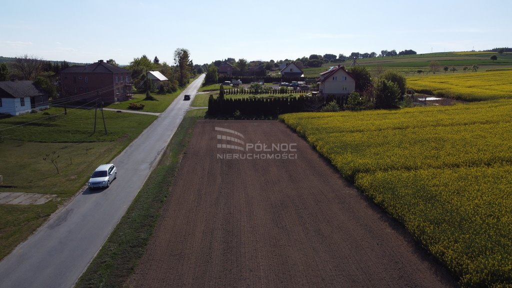 Działka budowlana na sprzedaż Niemienice  3 000m2 Foto 3