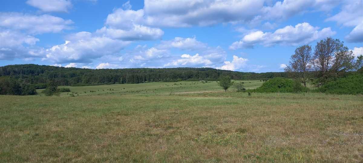 Działka rekreacyjna na sprzedaż Myślinów, Myślinów  3 001m2 Foto 1