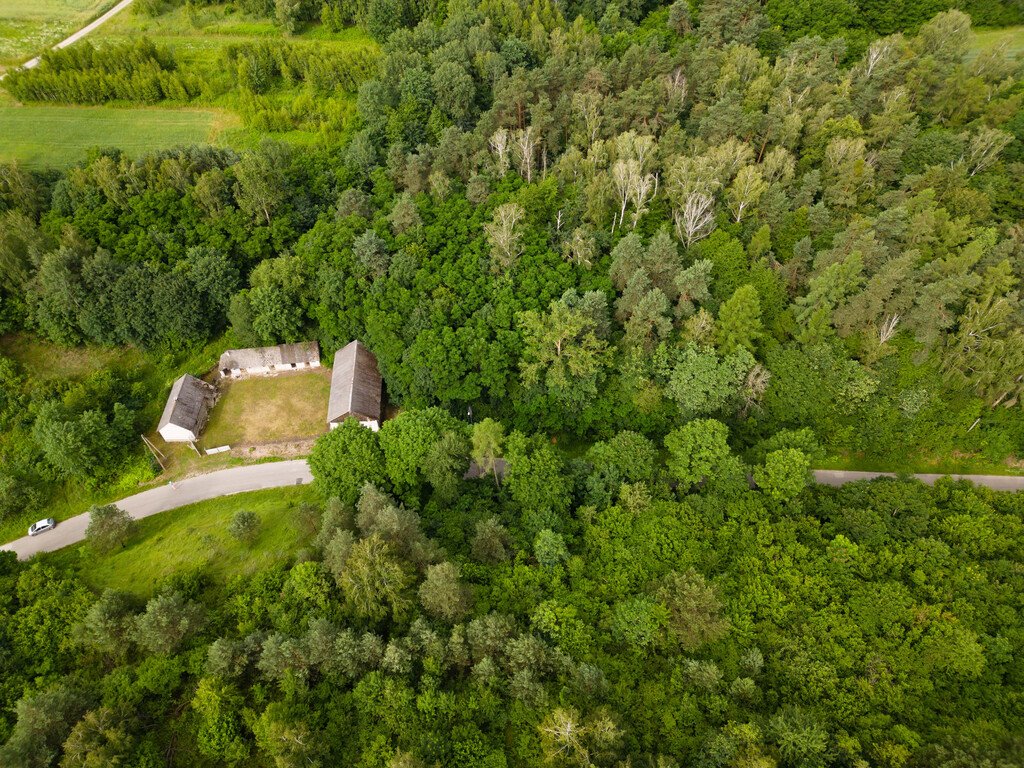 Działka budowlana na sprzedaż Okół  3 916m2 Foto 6