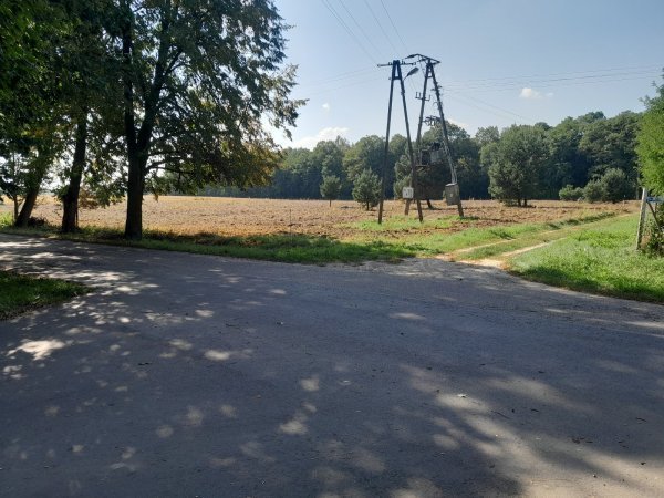 Działka siedliskowa na sprzedaż Guzew  1 100m2 Foto 2