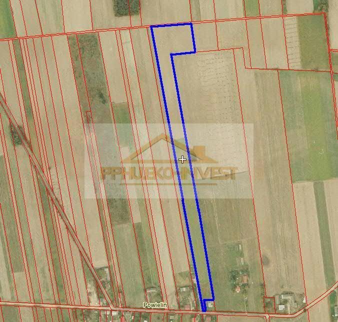 Działka budowlana na sprzedaż Winnica, Powielin 39 700m2 Foto 1 Działka budowlana na sprzedaż Winnica, Powielin 39 700m2 Foto 1