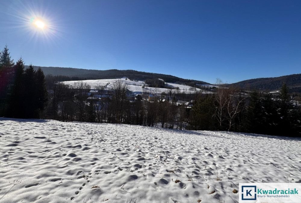 Działka inwestycyjna na sprzedaż Stężnica  102 500m2 Foto 12