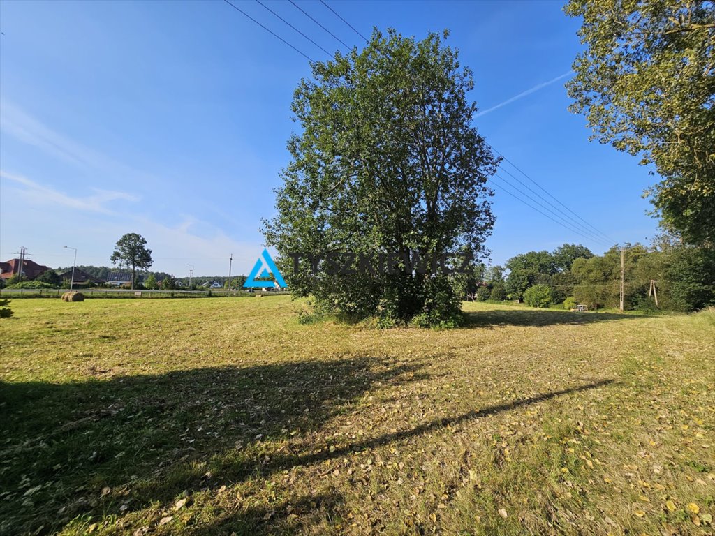 Działka budowlana na sprzedaż Dąbie  16 000m2 Foto 1