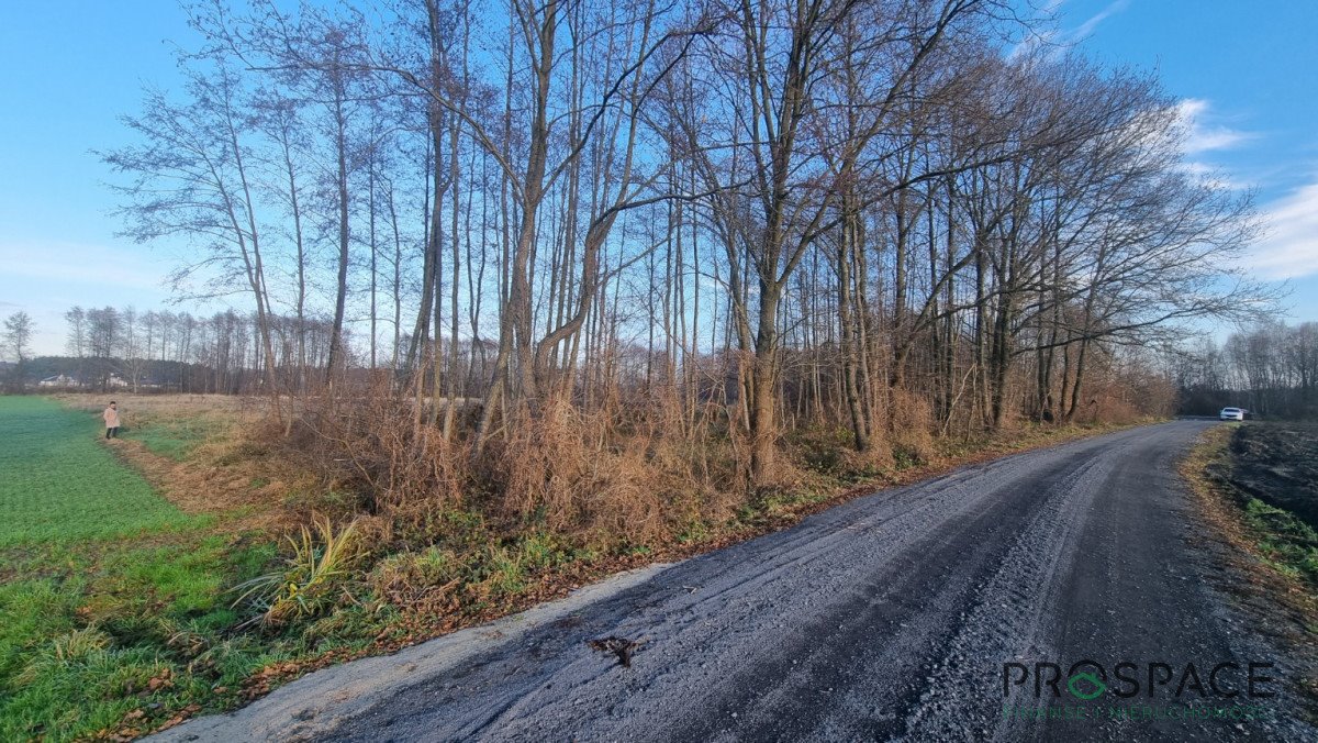Na sprzedaż działka inwestycyjna 8,5 ha pod zabudowę w Ochli Zielona Góra, Ochla-Żagańska  8 500m2 Foto 1