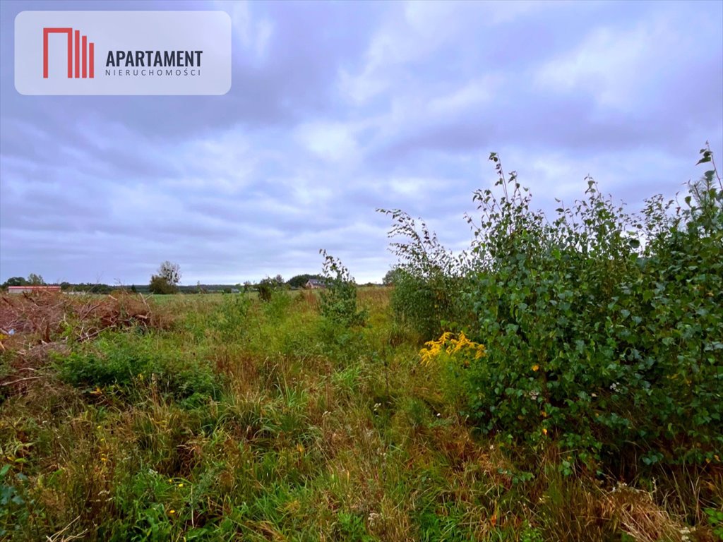 Działka budowlana na sprzedaż Kolincz  1 507m2 Foto 2