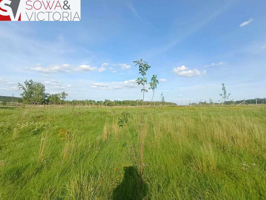 Działka inna na sprzedaż Cieszów  4 624m2 Foto 6