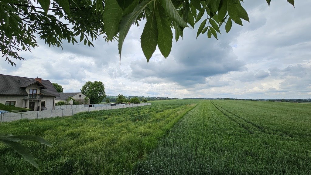 Działka budowlana na sprzedaż Wężerów  15 002m2 Foto 1