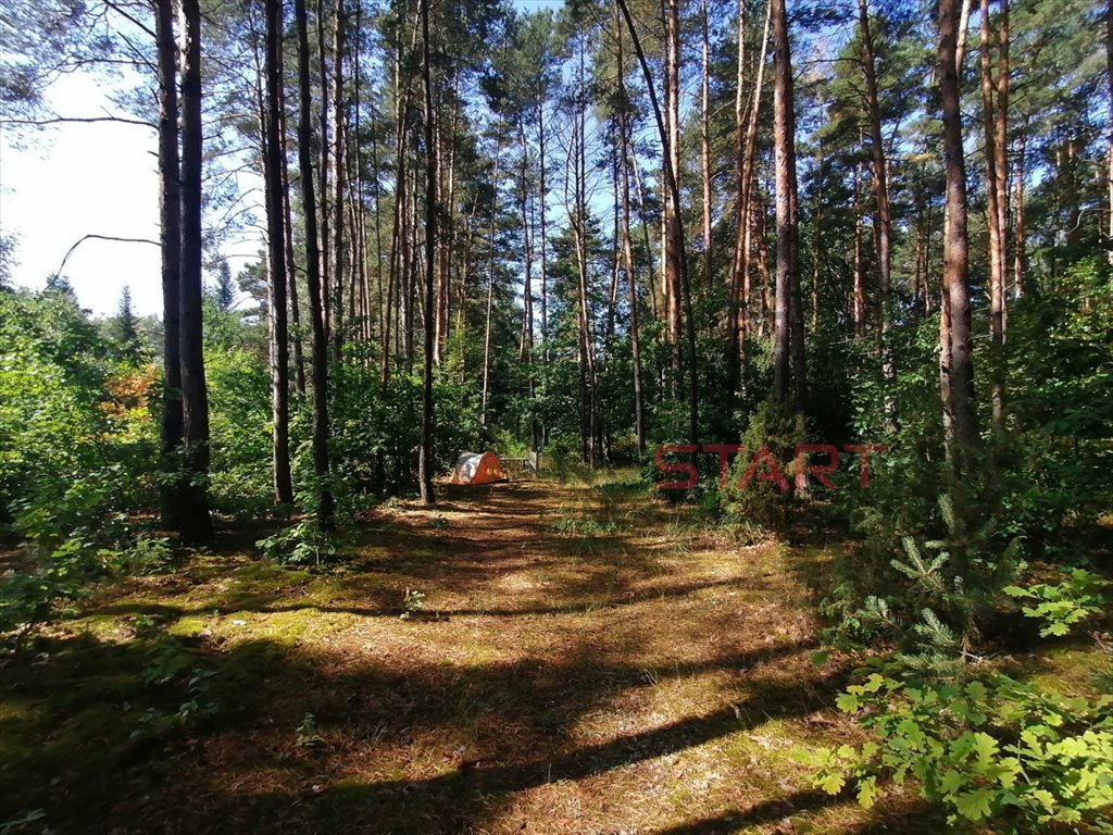 Działka budowlana na sprzedaż Krzyżówka  3 400m2 Foto 3