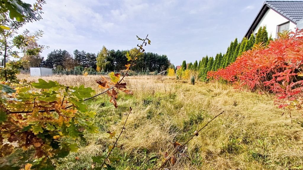 Działka budowlana na sprzedaż Nieżywięć, Spokojna  1 246m2 Foto 1