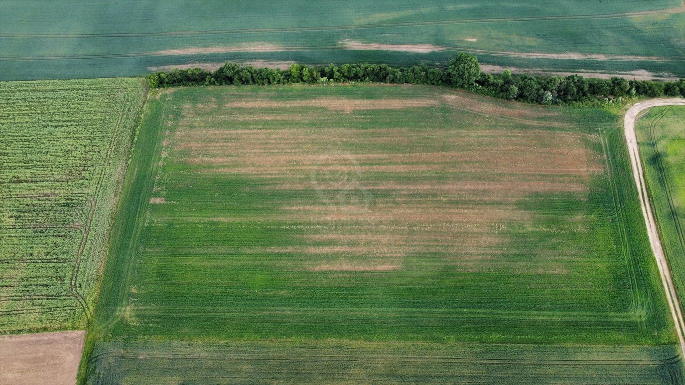 Działka rolna na sprzedaż Sędzice  26 950m2 Foto 2