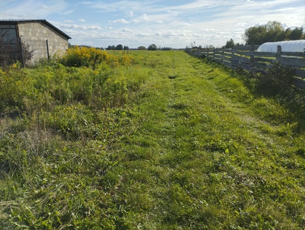 Działka budowlana na sprzedaż Rąbień, Słowiańska  1 175m2 Foto 6