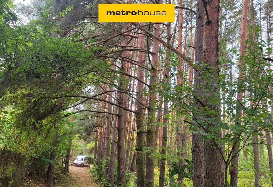 Działka budowlana na sprzedaż Borki, Siwkowa  1 421m2 Foto 1