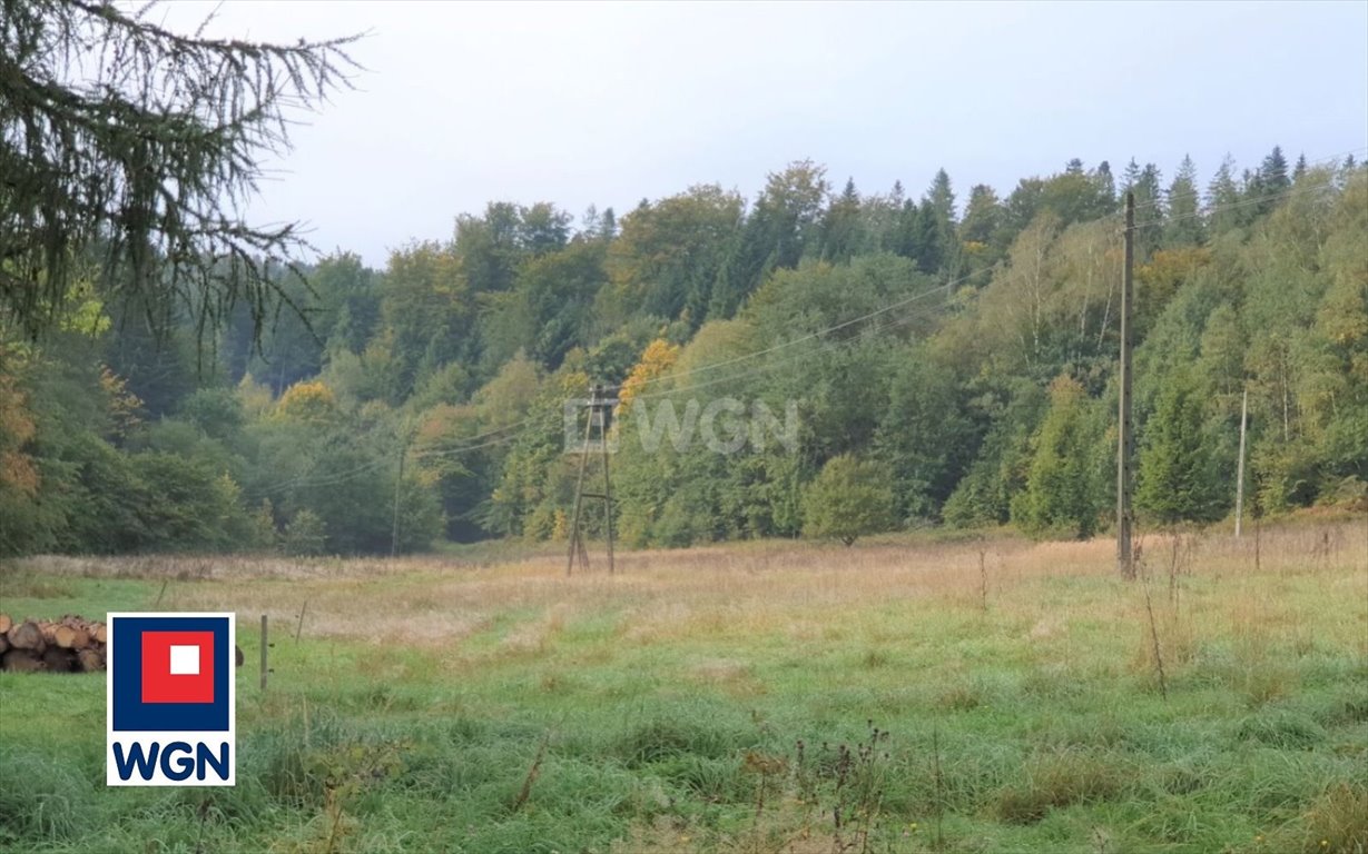 Działka rekreacyjna na sprzedaż Wisła, Jawornik  19 000m2 Foto 6