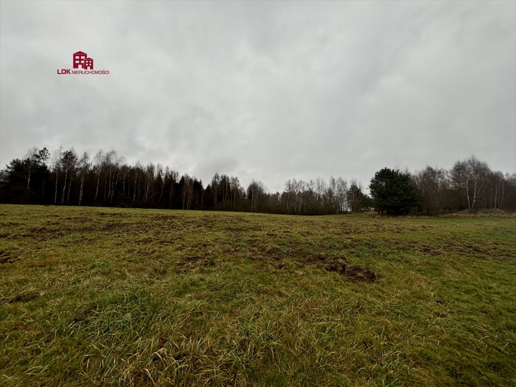 Działka budowlana na sprzedaż Mierzeszyn, Wolności  3 100m2 Foto 8