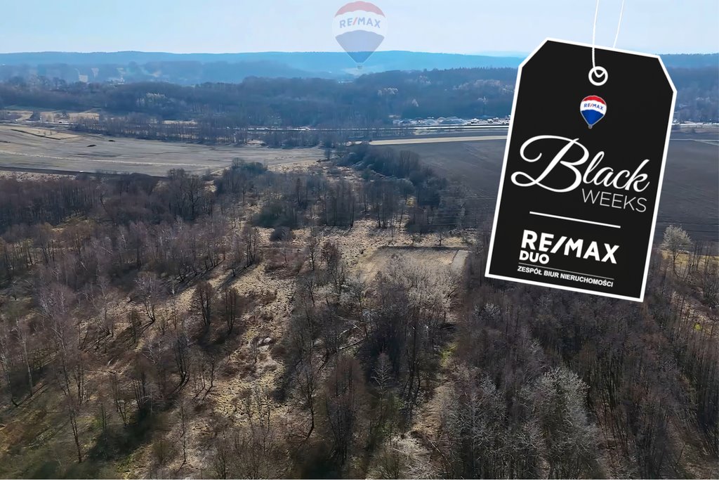 Działka budowlana na sprzedaż Krzeczów  20 464m2 Foto 1