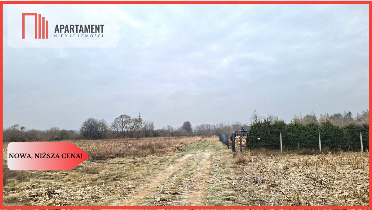 Działka 4254 m2 pod dom i działalność w Kolankowie Kolankowo  4 254m2 Foto 1