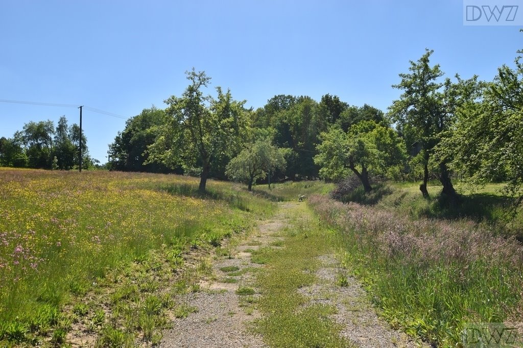 Działka budowlana na sprzedaż Tarnawa  1 600m2 Foto 14