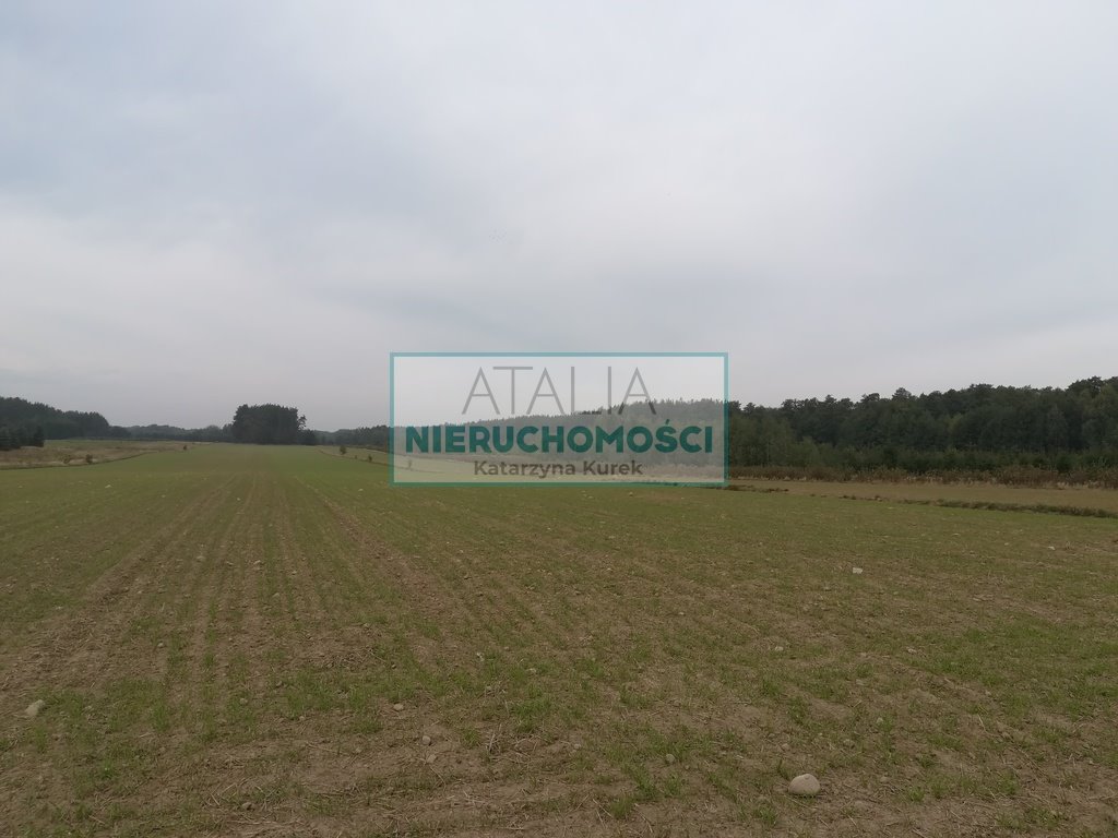 Działka 34 300 m² z mediami i terenami rekreacyjnymi polecam Radziejowice  34 300m2 Foto 1