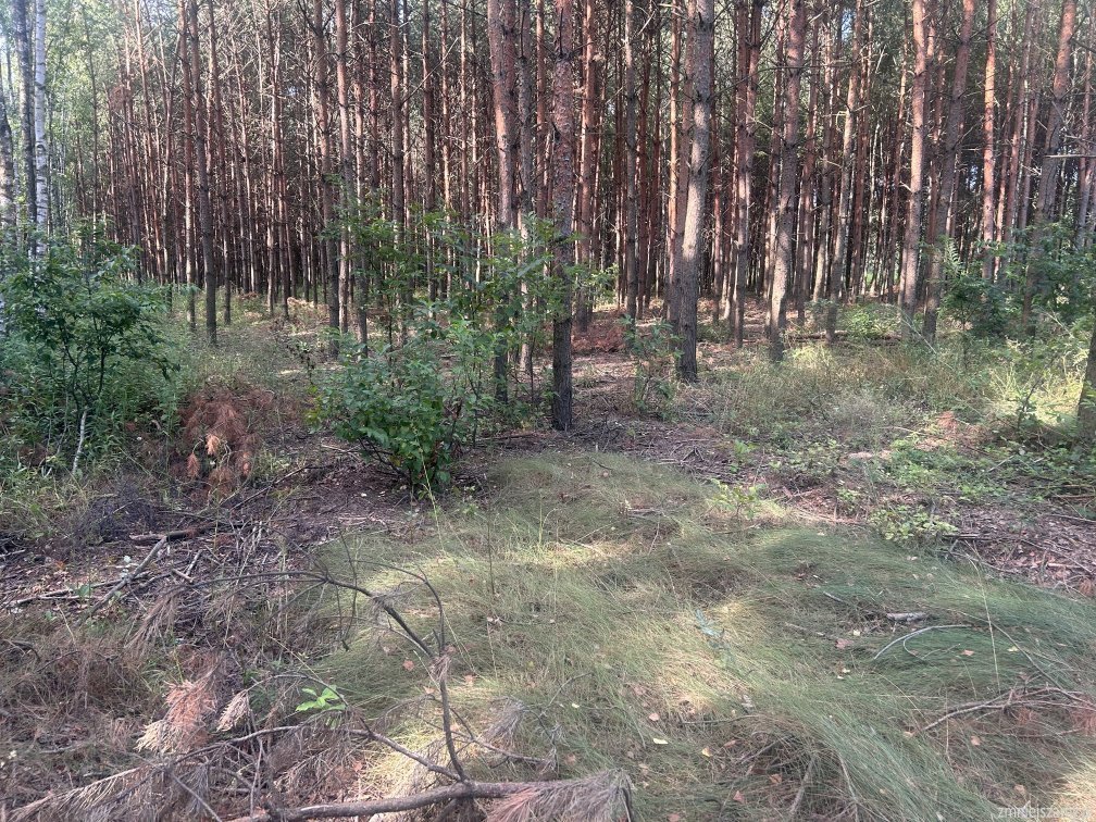 Działka budowlana na sprzedaż Radomyśl nad Sanem, Chwałowice  1 150m2 Foto 4