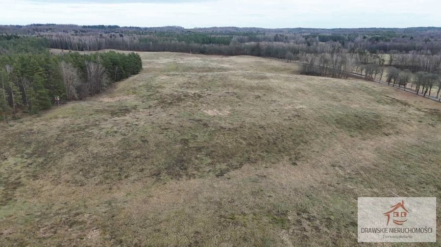 Działki rolne 55 ha przy drodze asfaltowej, lasy i zabudowa Prosino, Prosino  553 700m2 Foto 1