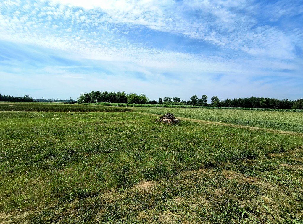 Dom na sprzedaż Dębina  120m2 Foto 9