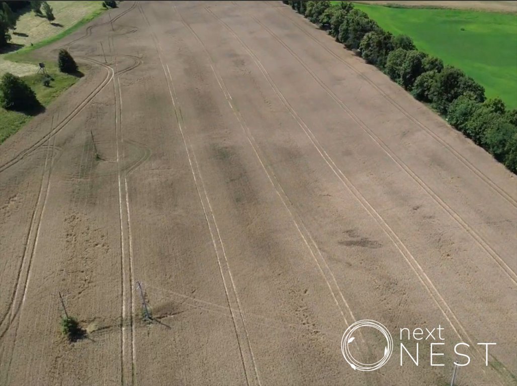 Działka budowlana na sprzedaż Harsz  1 381m2 Foto 7