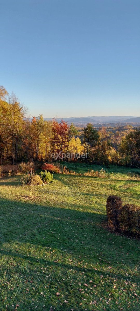 Działka budowlana na sprzedaż Marcyporęba  3 169m2 Foto 6