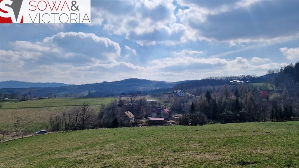 Działka budowlana na sprzedaż Zagórze Śląskie  2 100m2 Foto 5