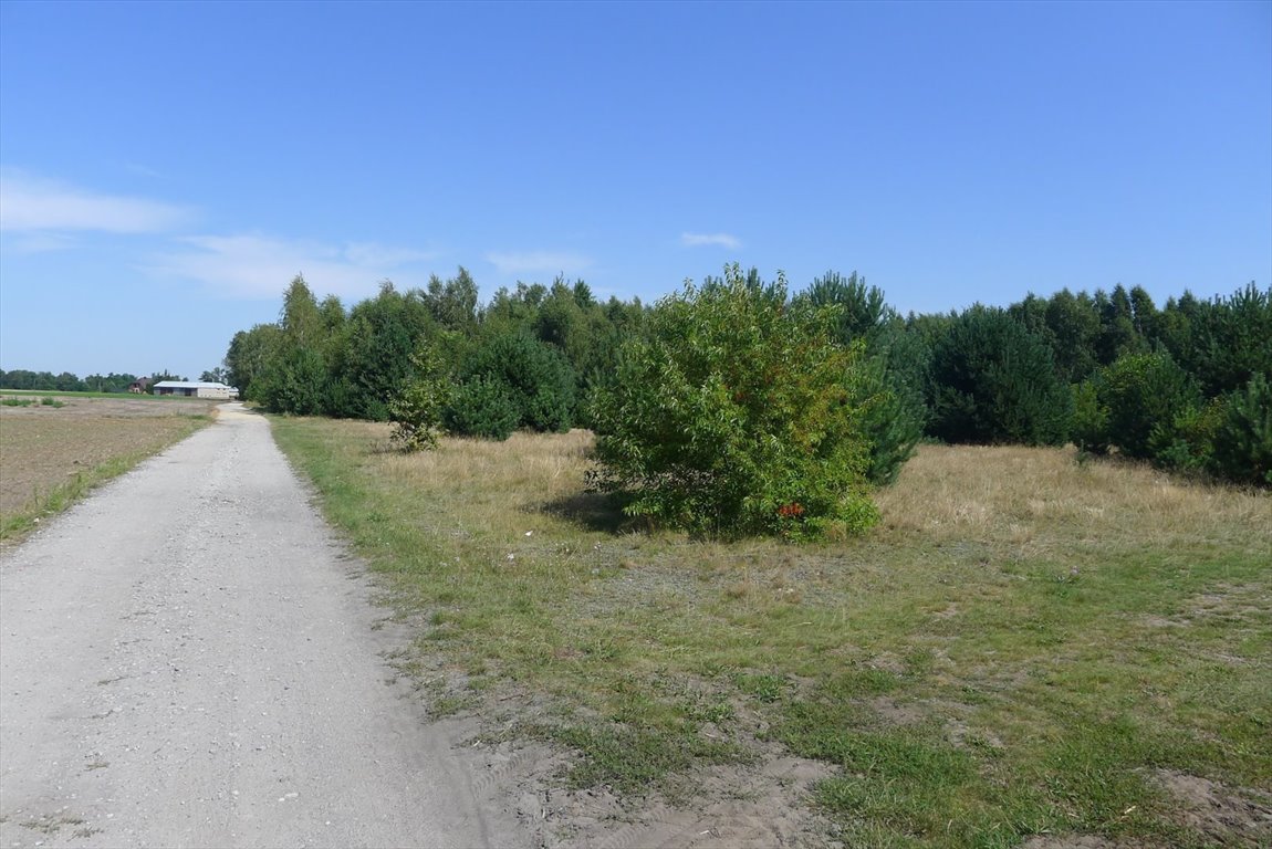 Działka rolna 3001 m² z wodą i energią w Wypychowie. Wypychów  3 001m2 Foto 1