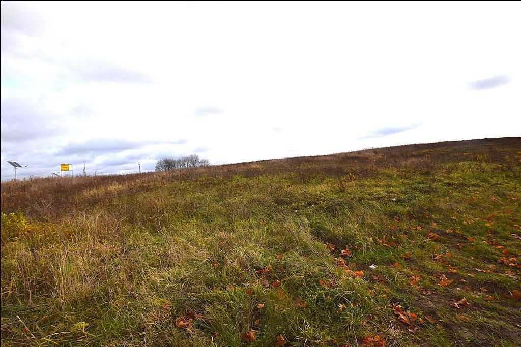 Działka budowlana na sprzedaż Klebark Mały, Klebark Mały  354 000m2 Foto 4