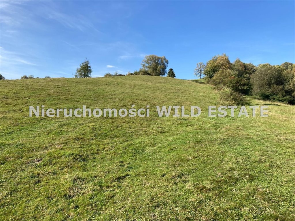 Działka budowlana na sprzedaż Ustrzyki Dolne, Daszówka  2 000m2 Foto 6