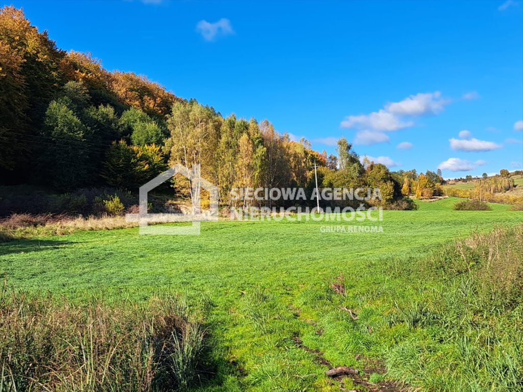 Działka rolna na sprzedaż Rąty  31 000m2 Foto 6