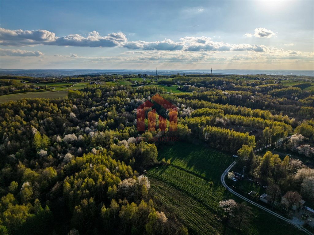 Działka 3,33 ha w Kraczkowej z lasem i możliwością zabudowy zapraszam Kraczkowa  33 000m2 Foto 1