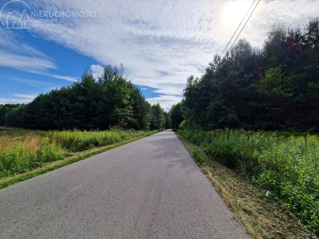 Działka leśna na sprzedaż Pojawie  10 700m2 Foto 14