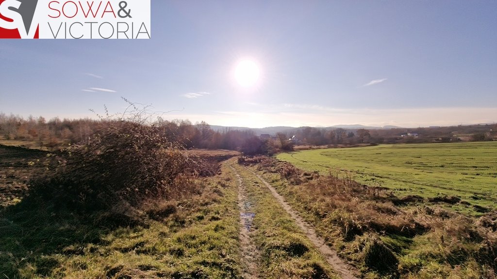 Działka inna na sprzedaż Wałbrzych, Lubiechów  3 069m2 Foto 13