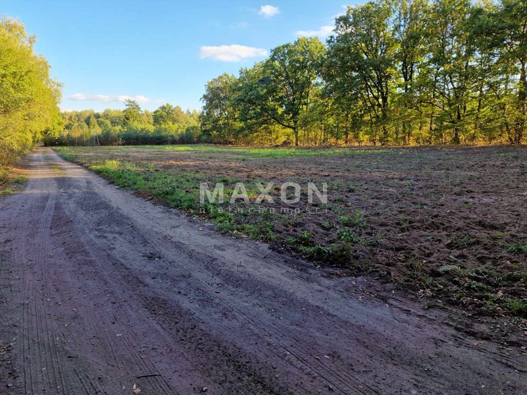 Działka siedliskowa na sprzedaż Wólka Pracka  30 000m2 Foto 4