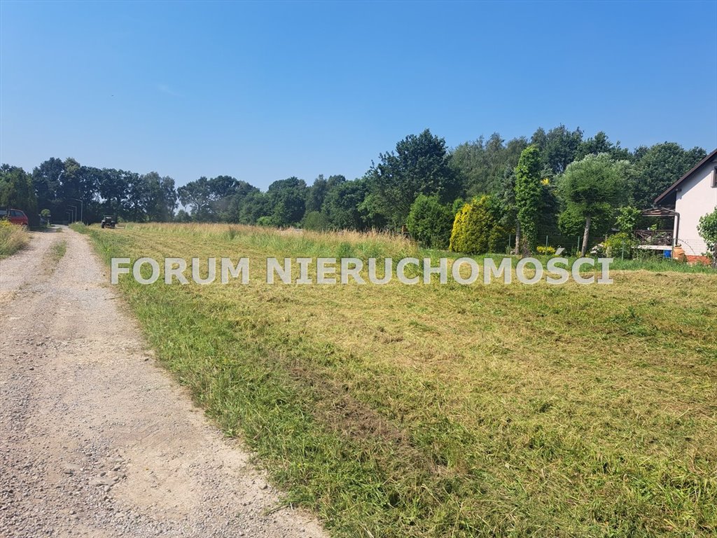 Polecam atrakcyjną działkę 51,51 a z mediami i dojazdem Zaborze  5 151m2 Foto 1