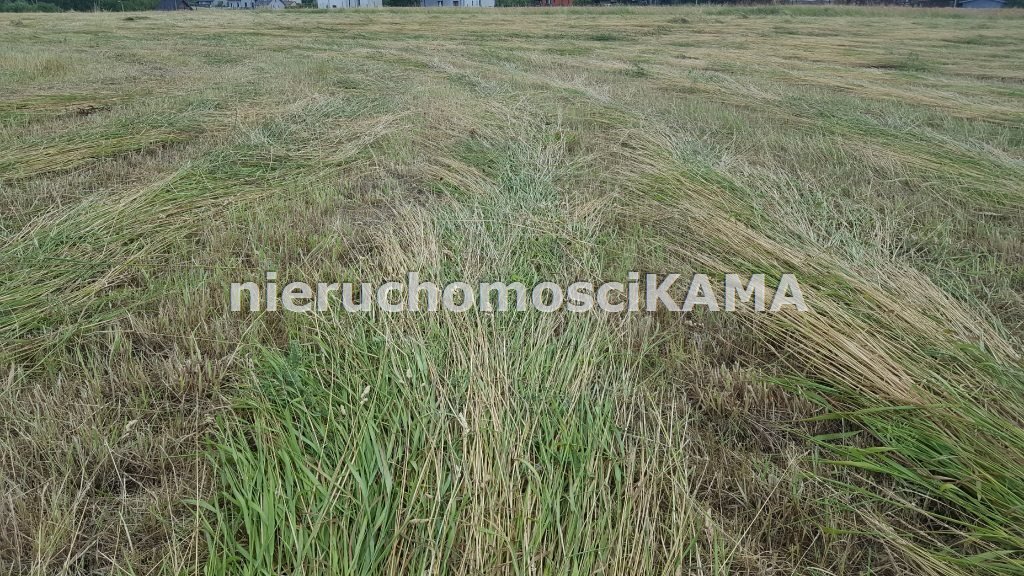 Działka na wynajem 2,03 ha przy trasie wylotowej Bielsko-Biała  20 323m2 Foto 1