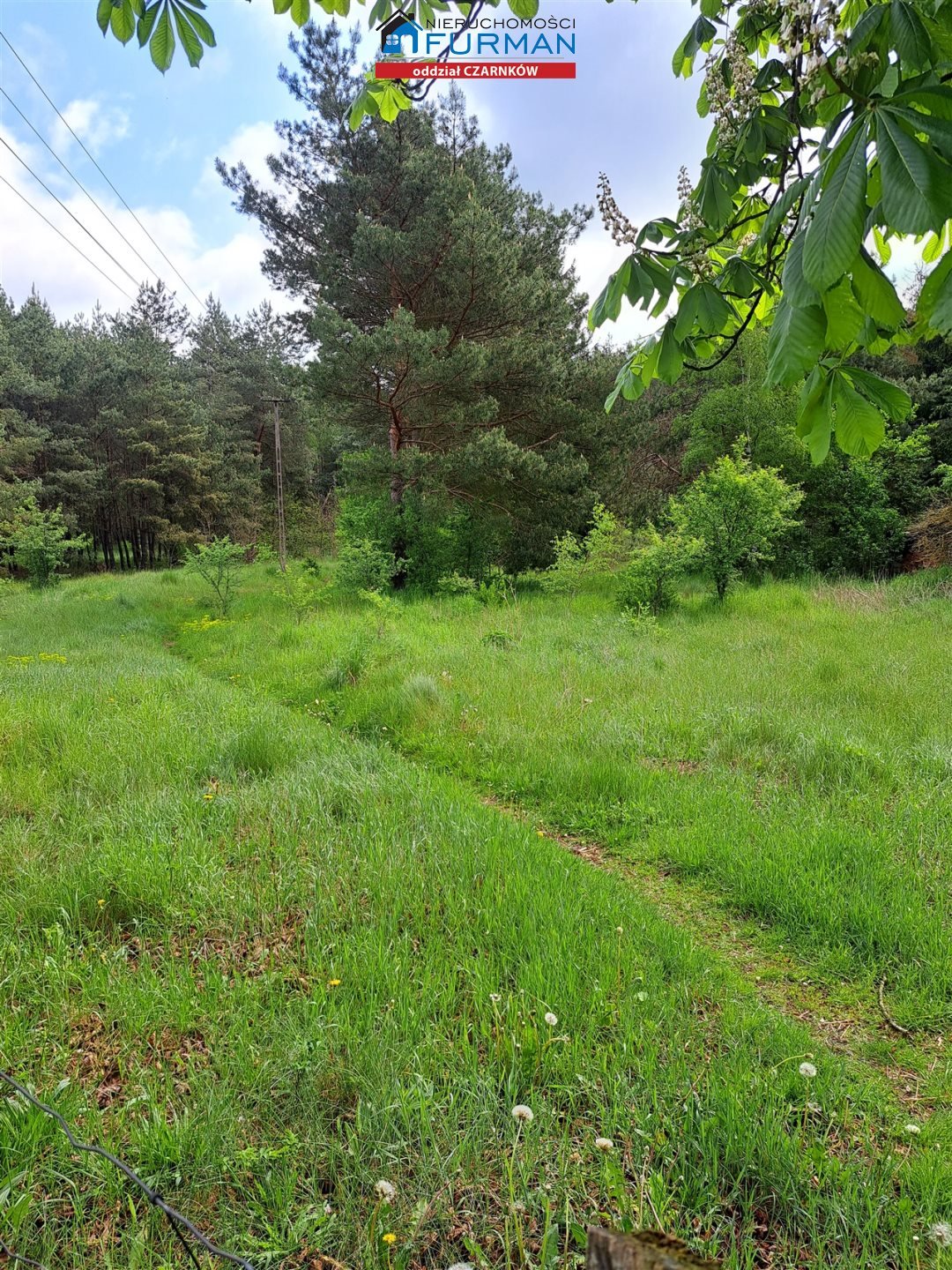 Działka 3 679 m² w Antoniewie z lasem i rolą Antoniewo  3 679m2 Foto 1