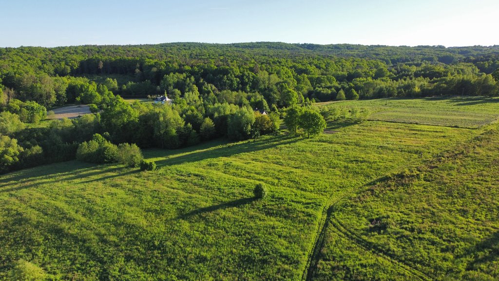 Działka budowlana na sprzedaż Hermanowa  16 000m2 Foto 4